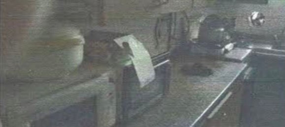 2-Zimmer Wohnung in Pioltello, Italy, Nr. 227330 7