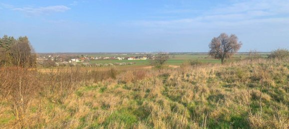  Land in Nickelsdorf, Austria No. 165311 2