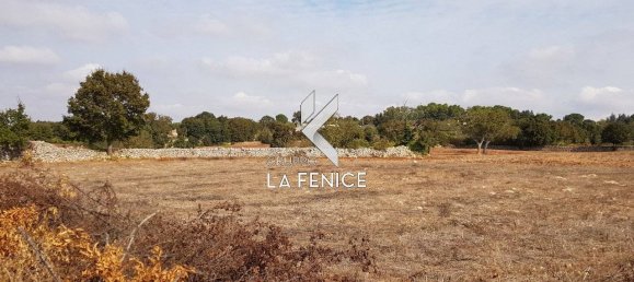 5 غرف نوم منزل في Noci, Italy رقم 140720 19