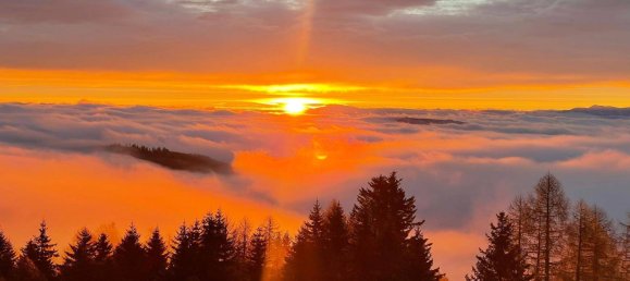 Дом с 4 спальнями в Альбек, Австрия № 138096 33