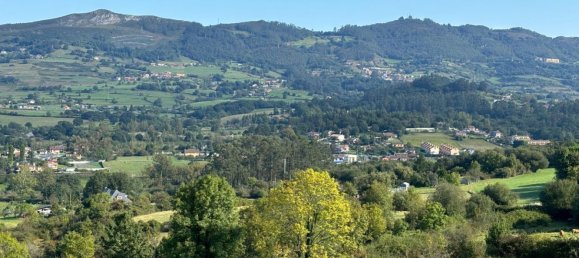 Земельный участок 12500м² в Овьедо, Испания № 165108 15