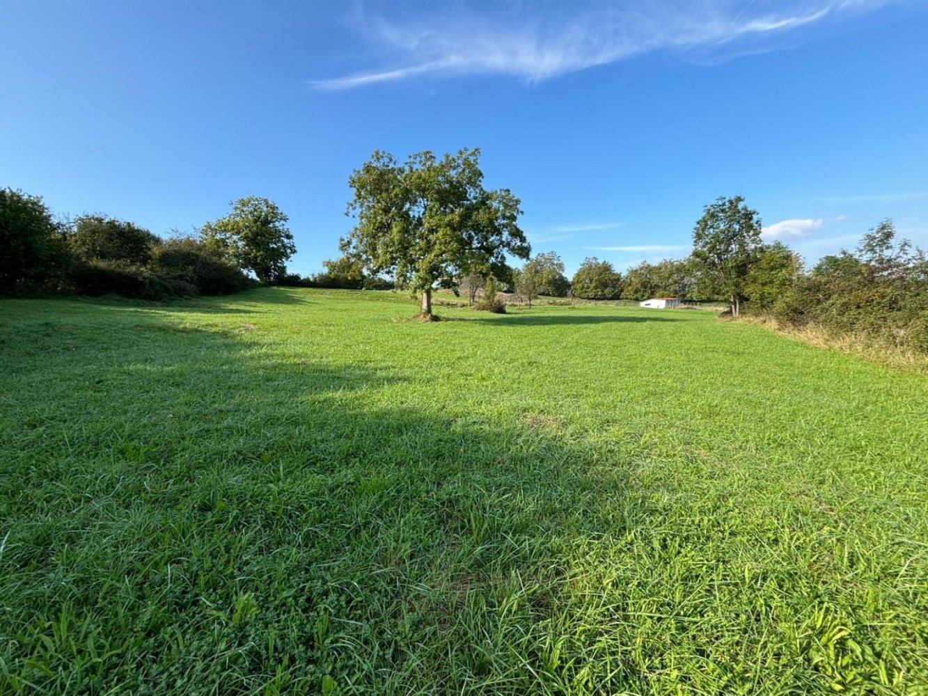 Земельный участок 12500м² в Овьедо, Испания № 165108