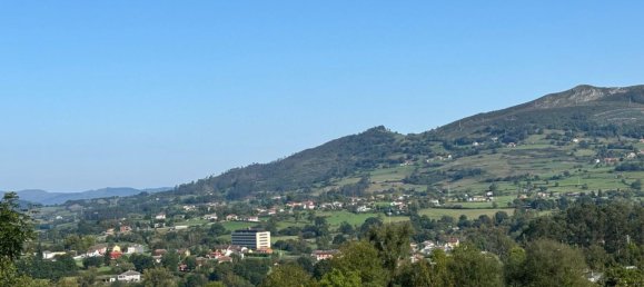 Земельный участок 12500м² в Овьедо, Испания № 165108 6