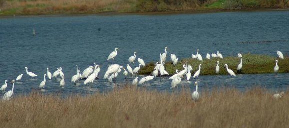 250m² Villa in Corfu, Greece No. 7958 2