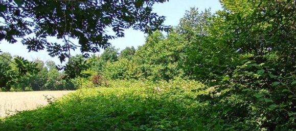 5-salle Duplex à San Carlo Canavese, Italy No. 298403 19