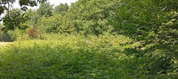 5-salle Duplex à San Carlo Canavese, Italy No. 298403 20