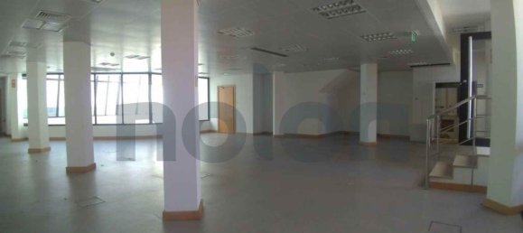 1225m² Building in Vila Real, Portugal No. 70817 5