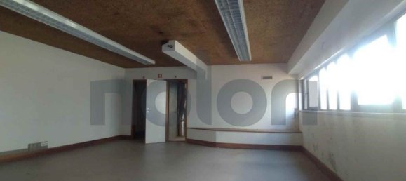 1225m² Building in Vila Real, Portugal No. 70817 4