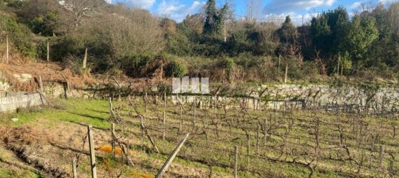 Земельный участок 12560м² в Марку ди Канавезиш, Португалия № 56101 9