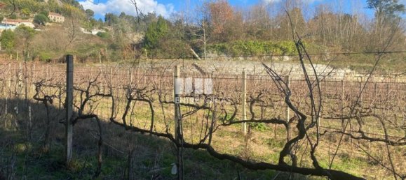 Земельный участок 12560м² в Марку ди Канавезиш, Португалия № 56101 12