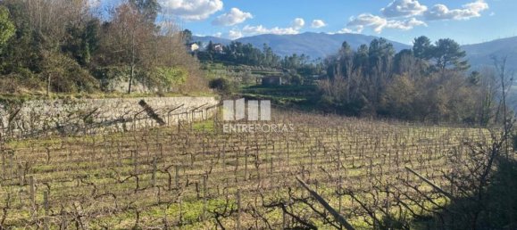 Земельный участок 12560м² в Марку ди Канавезиш, Португалия № 56101 11