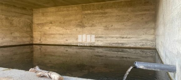 Земельный участок 12560м² в Марку ди Канавезиш, Португалия № 56101 19