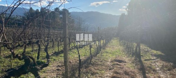 Земельный участок 12560м² в Марку ди Канавезиш, Португалия № 56101 24