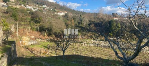 Земельный участок 12560м² в Марку ди Канавезиш, Португалия № 56101 29