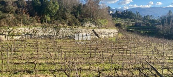 Земельный участок 12560м² в Марку ди Канавезиш, Португалия № 56101 10