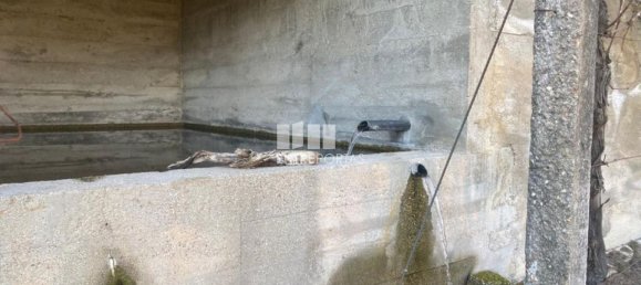 Земельный участок 12560м² в Марку ди Канавезиш, Португалия № 56101 22