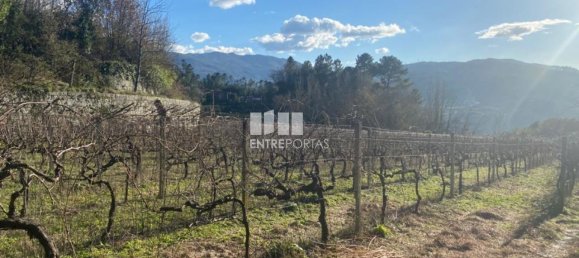 Земельный участок 12560м² в Марку ди Канавезиш, Португалия № 56101 2