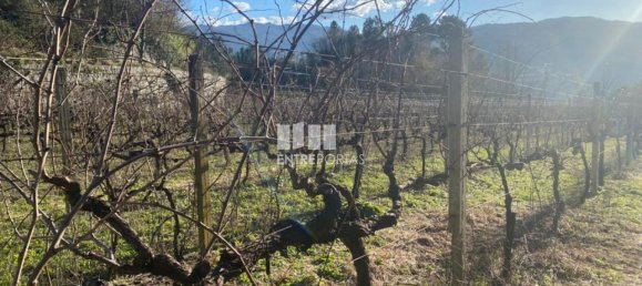 Земельный участок 12560м² в Марку ди Канавезиш, Португалия № 56101 23