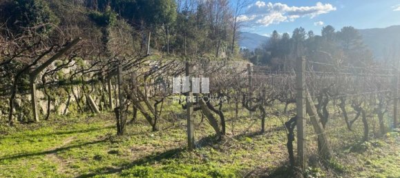 Земельный участок 12560м² в Марку ди Канавезиш, Португалия № 56101 26