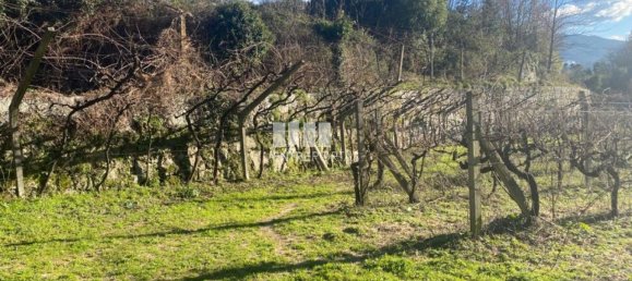 Земельный участок 12560м² в Марку ди Канавезиш, Португалия № 56101 27