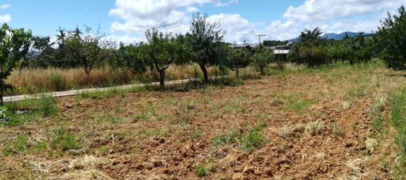 Terreno en Cacabelos, Spain No. 79694 3