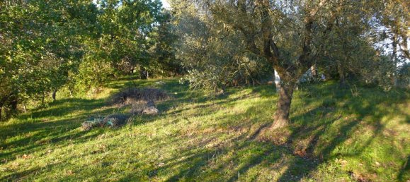 Casa de 20 divisões em Torrita di Siena, Italy N.º 92940 6