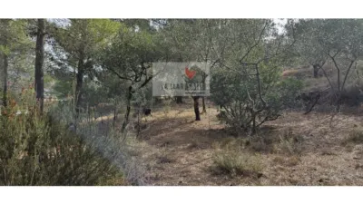  قطعة أرض في Valencia, Spain رقم 202653