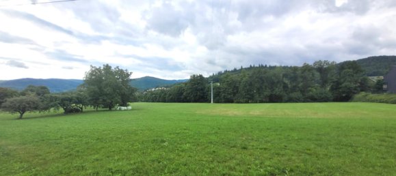 5 bedrooms House in Munster, France No. 301514 4