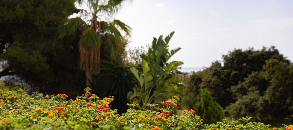 3 bedrooms Townhouse in Marbella, Spain No. 150239 26