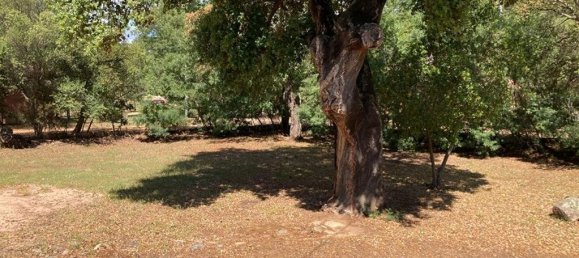 3 Schlafzimmer Haus in Zonza, France, Nr. 265003 3