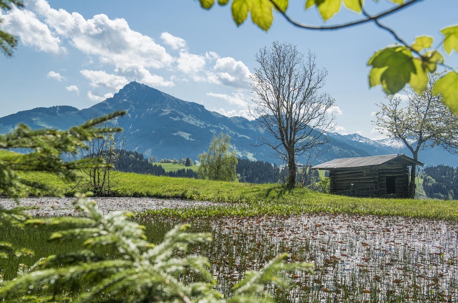 6 chambres Villa à Reith bei Kitzbuhel, Austria No. 52498
