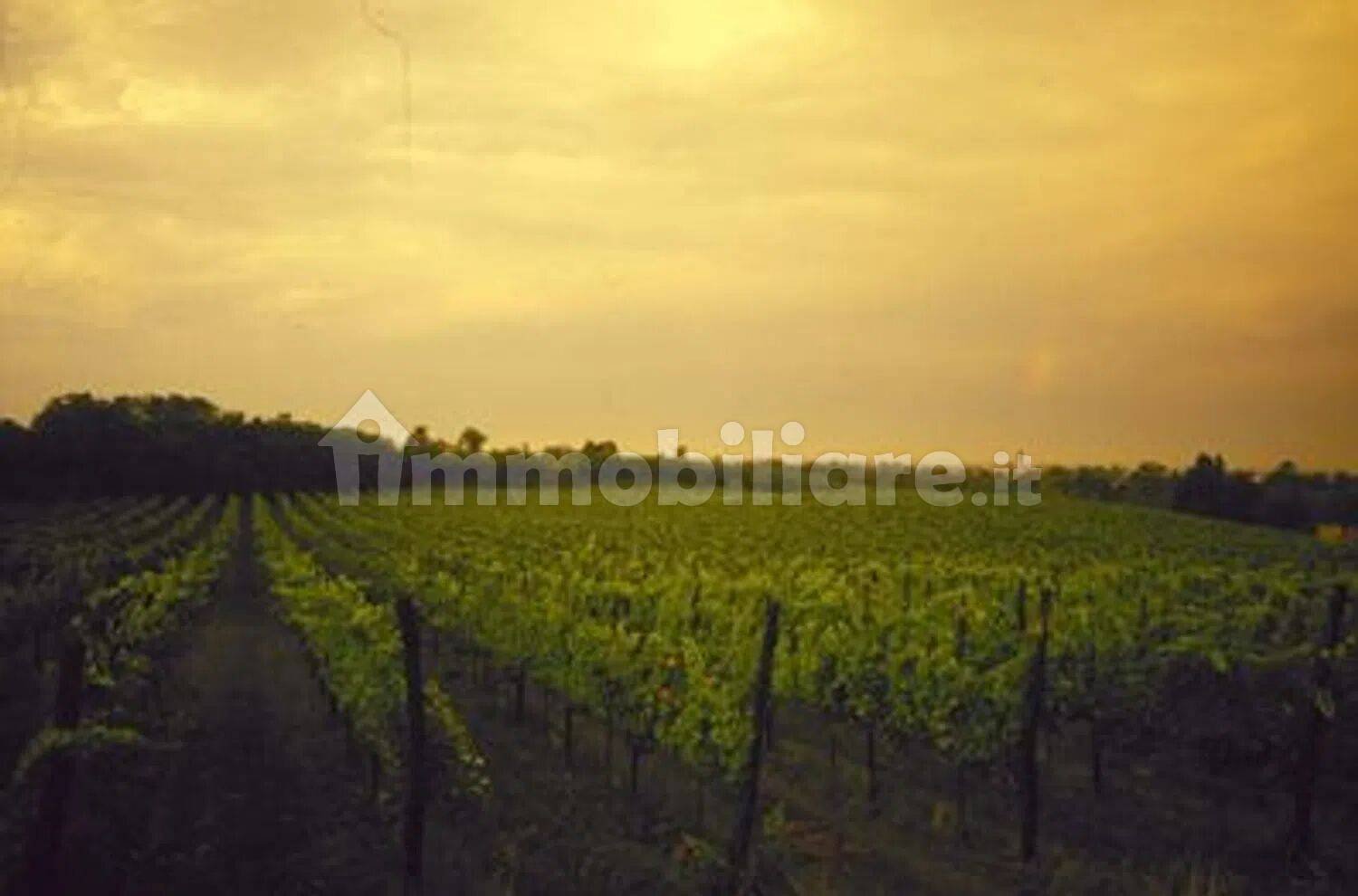 6500m² Land in Cazzago San Martino, Italy No. 264516