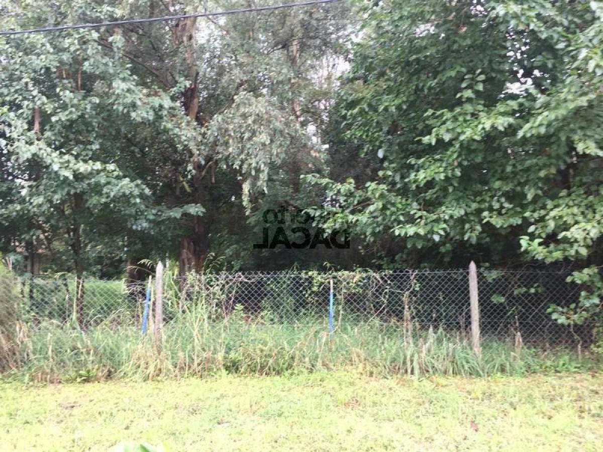  Land in Campo Creado, Argentina No. 45336