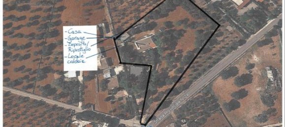 4 Schlafzimmer Villa in Villa Castelli, Italy, Nr. 252669 3