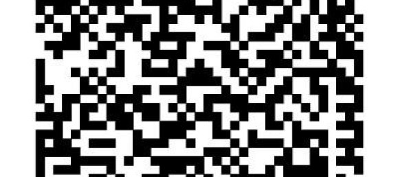 2 غرف نوم منزل في Mainz-Bingen, Germany رقم 323679 26