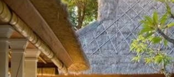 4 Schlafzimmer Villa in Tanjung, Indonesia, Nr. 2976 20
