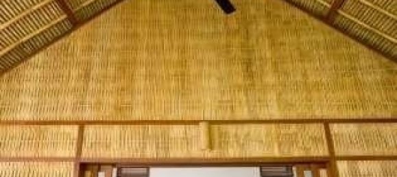 4 Schlafzimmer Villa in Tanjung, Indonesia, Nr. 2976 14