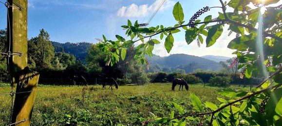 9 bedrooms House in Cantelaes, Portugal No. 168142 48