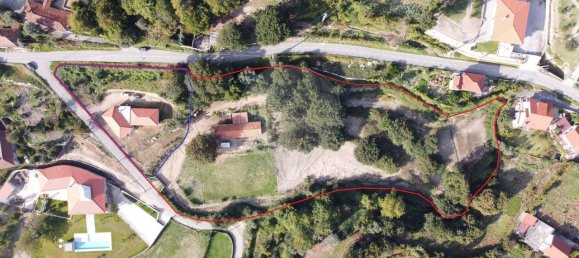 9 bedrooms House in Cantelaes, Portugal No. 168142 3