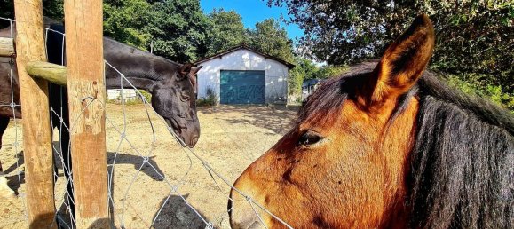 9 bedrooms House in Cantelaes, Portugal No. 168142 6