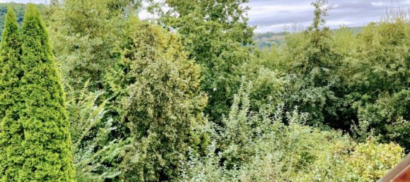 4 chambres Maison de ville à Hochsauerlandkreis, Germany No. 290539 9