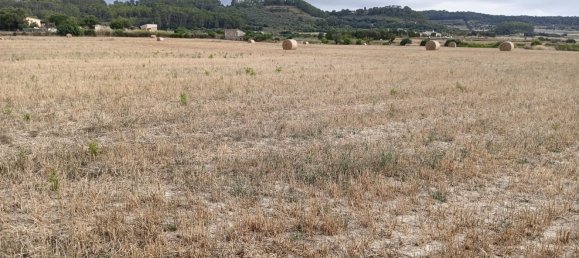 Land in Sant Joan, Spain No. 137636 4