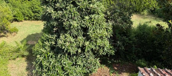 3 rooms Apartment in Palombara Sabina, Italy No. 266182 12