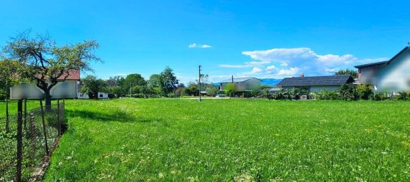 Grundstück in Feistritz ob Bleiburg, Austria, Nr. 164658 11