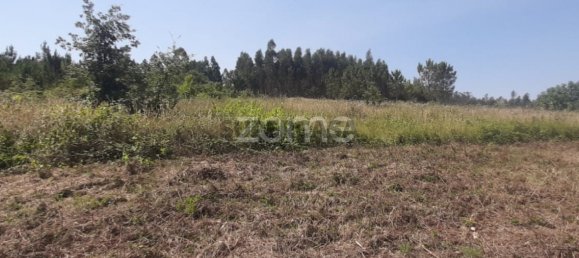  Land in Soure, Portugal No. 159148 4