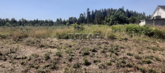  Land in Soure, Portugal No. 159148 6