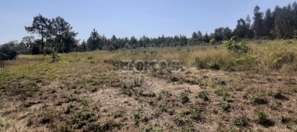  Land in Soure, Portugal No. 159148 17