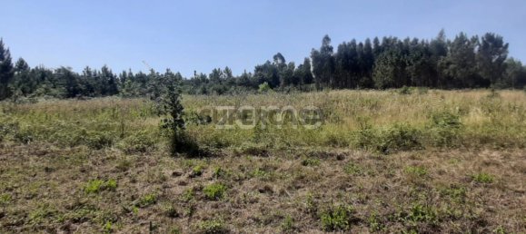  Land in Soure, Portugal No. 159148 3