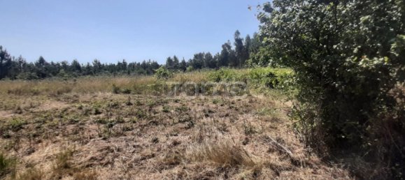  Land in Soure, Portugal No. 159148 12