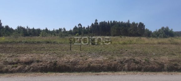  Land in Soure, Portugal No. 159148 5